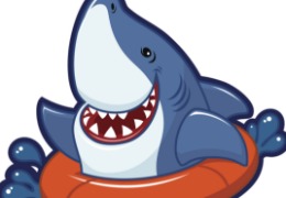 食品原料小百科：硫酸軟骨素可以用在什么地方？